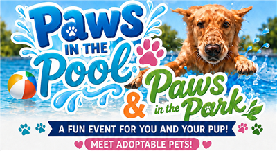 paws title paws title